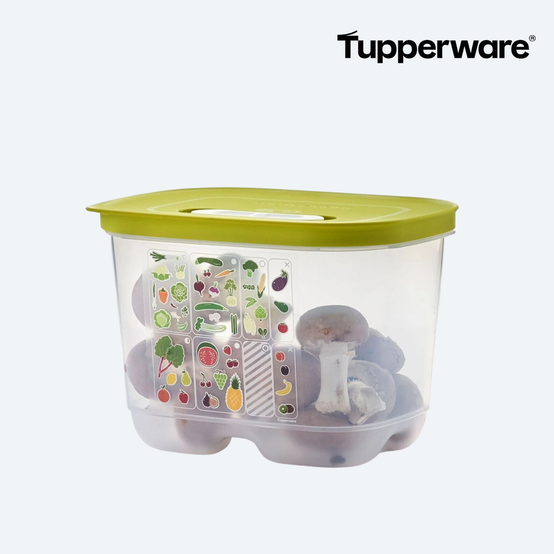 KlimaOase 1,8 l hoch - Tupperland.de - Tupperware